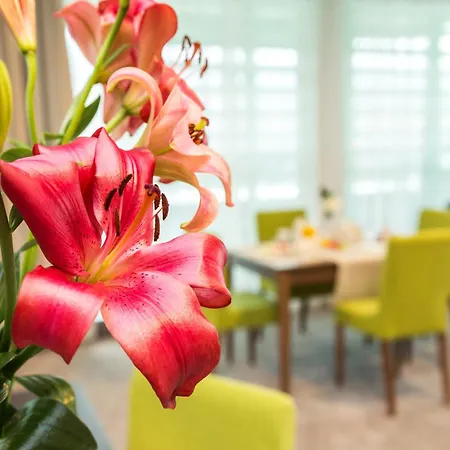 Earth & People & - Free Parking & Swimming Pool 4*